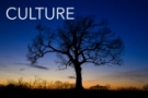 CULTURE. Effective leaders create vibrant, deeply rooted cultures. It takes time, energy and honesty. To create a vibrant culture, we help you build a winning environment, coach leaders and connect the workplace to the marketplace.